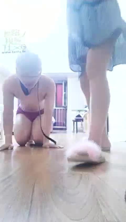TL3027-女神之家