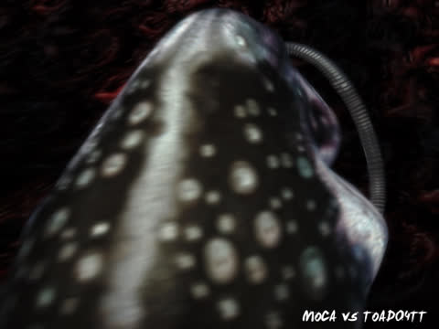 moca x toad04TTv-女神之家