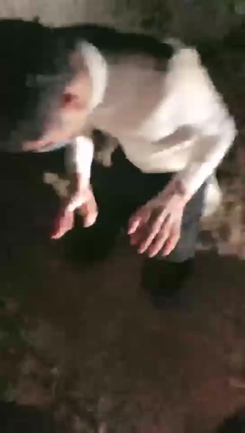 2224.【可可S】户外教训两条贱狗，帆布鞋各种踹，全体重跳踩，强制钻胯【36分钟】【标清】-女神之家