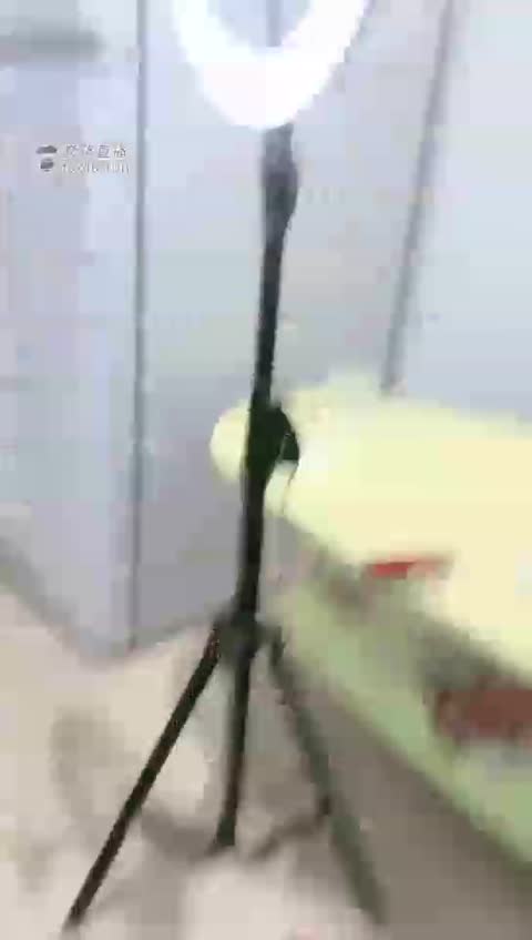 2815.【鹿鹿大人】双奴跪舔玉足，钻胯，足底窒息，玉足深喉，磕头比赛【24分钟】【标清】-女神之家