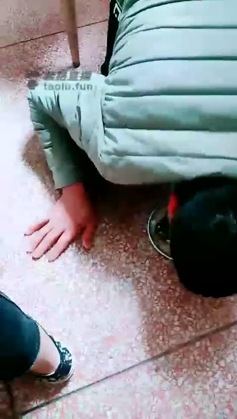 4232.【微微女王】在户外餐厅里调教贱狗【25分钟】-女神之家
