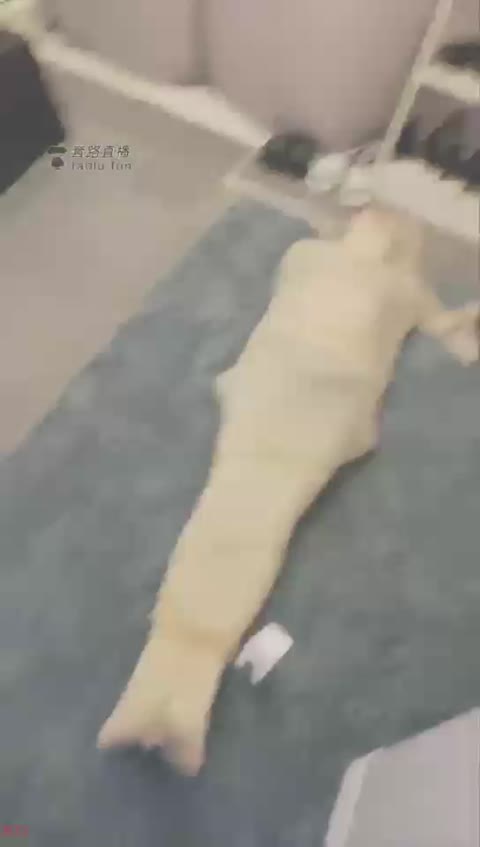 4455.【妖妖学姐】木乃伊玩具【113分钟】【标清】-女神之家