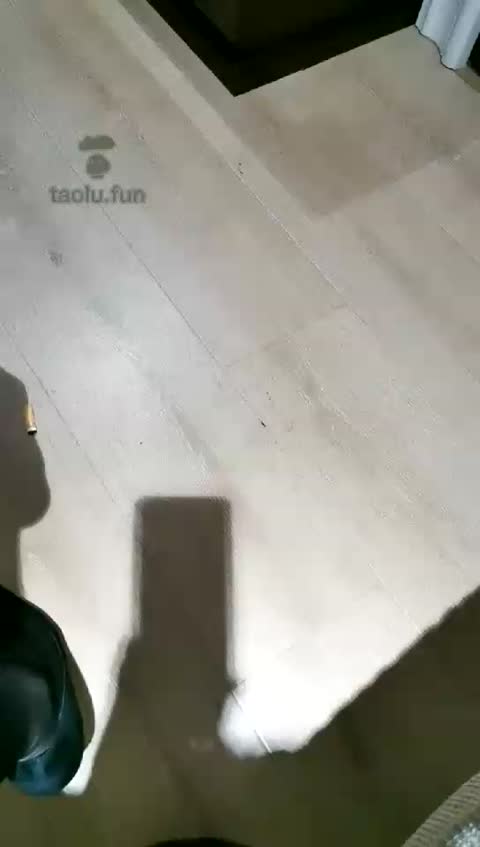 琴师 虐死你贱畜生-女神之家