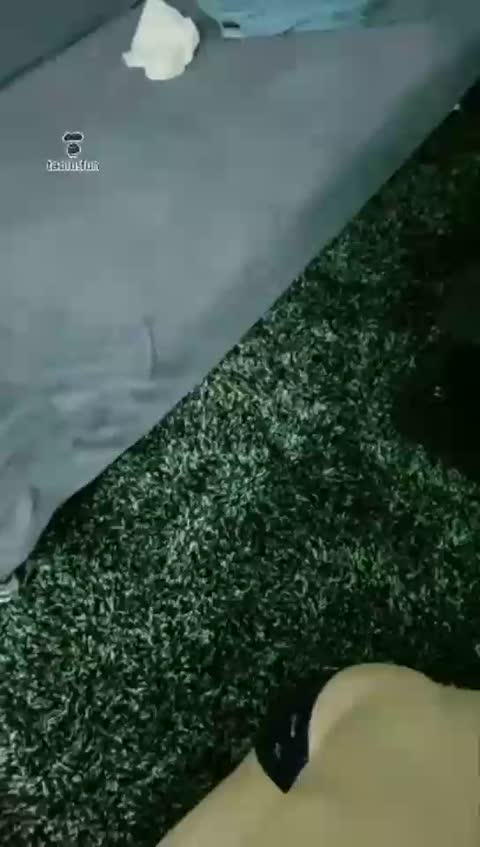 短发 这狗就爱裹我的脚趾-女神之家