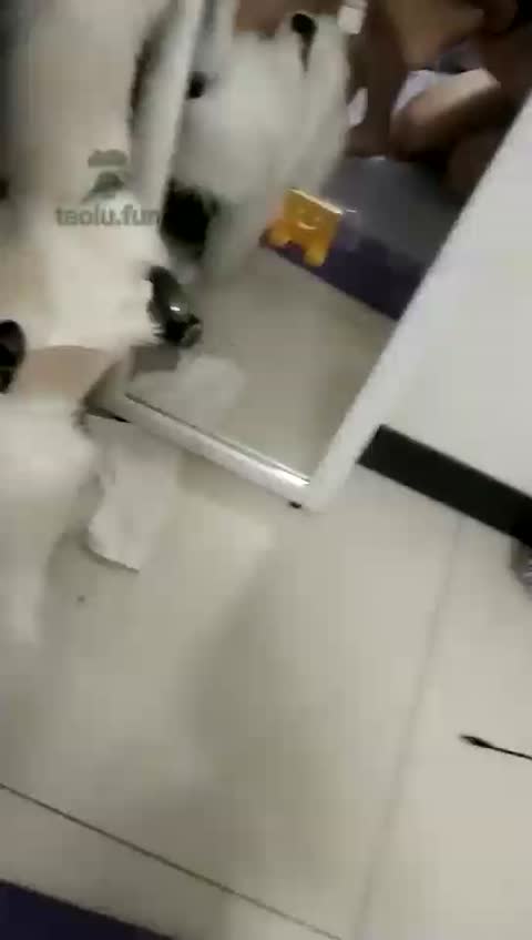 芯瑶S维维 姐妹脚喂食 羞辱狗-女神之家