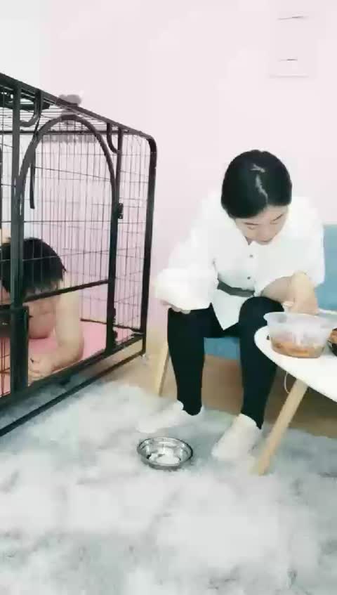 雪儿 圈养日常 遛狗 做狗饭 舔鞋底-女神之家