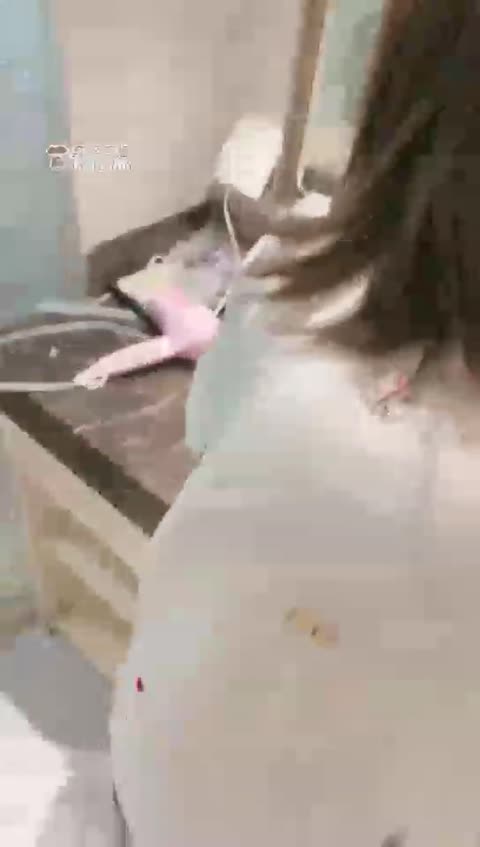 依艺 舔鞋底 恋足 深喉 呕吐物 上集-女神之家