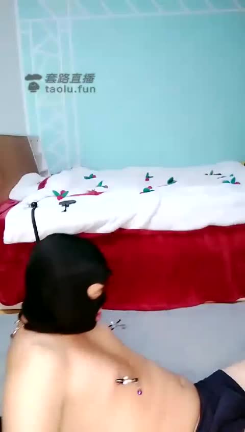 唯舞 不怕死的小狗子来找我调教-女神之家