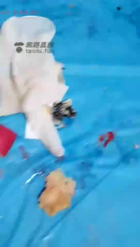 墨云 以喂食开始 以暴打结尾-女神之家