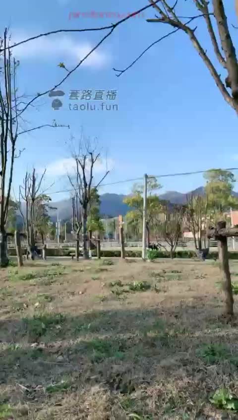 瑞娜 户外遛狗训狗骑马踩踏 强制舔脏靴底-女神之家