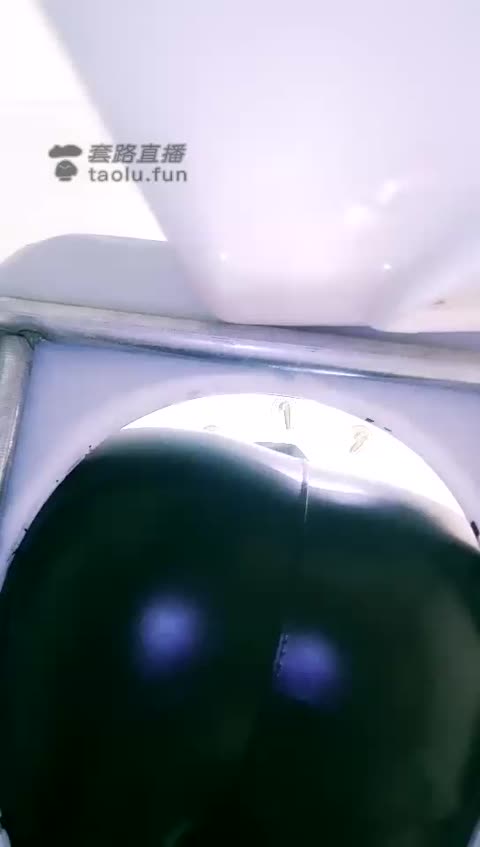 王妃 马桶第一视角羞辱红绿灯-女神之家