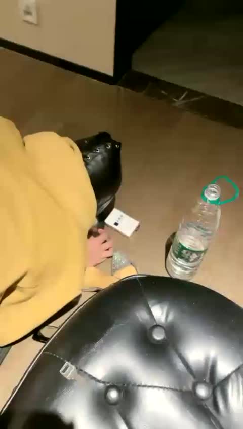 牧杏 狗笼圈养日常-女神之家