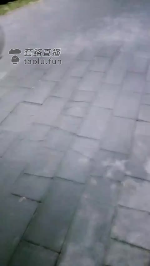梵高d星空 重磅认识暴力女的过程耳光踩头-女神之家