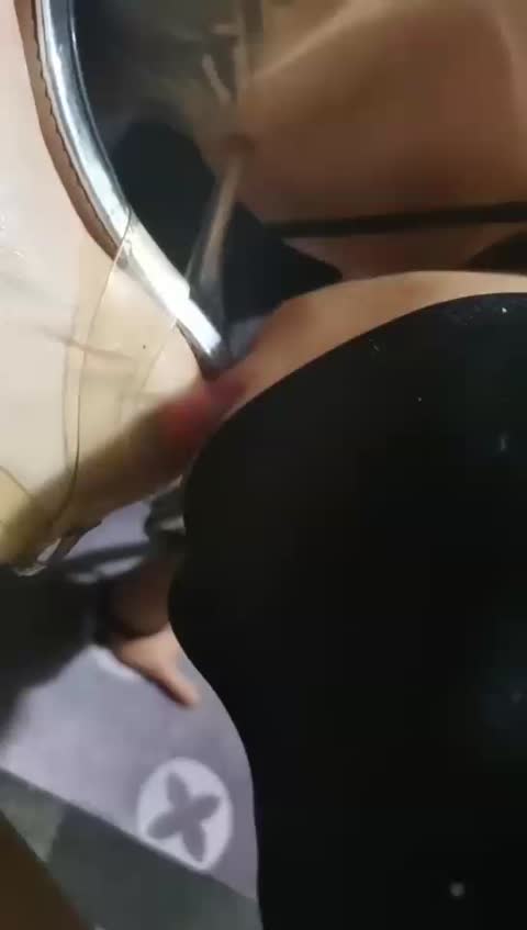 北京宠儿 随便玩狗-女神之家