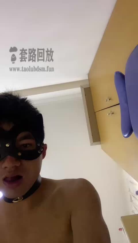 浮华 家奴的生活化伺候-女神之家