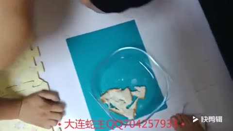 蛇主 同好共享 调教1-女神之家