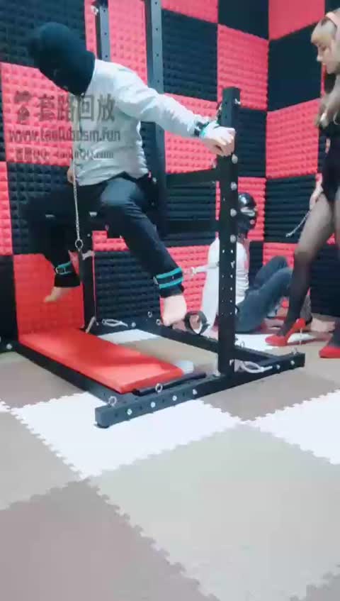 就是喜欢玩啊 调双狗-女神之家