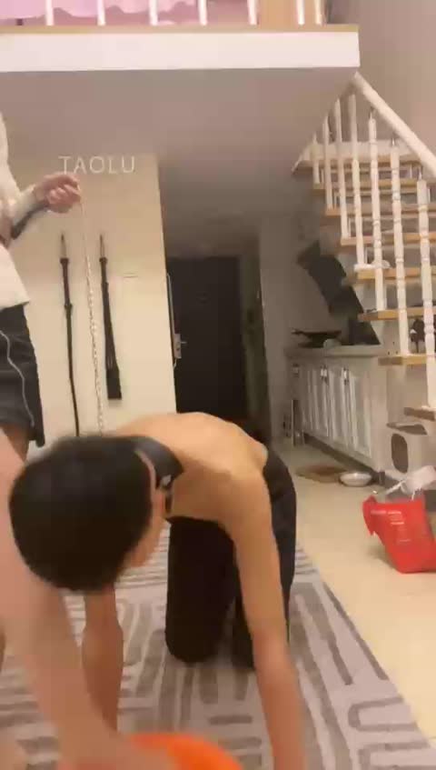 灵猫 调调狗奴 表现好赏圣水泡水饺-女神之家