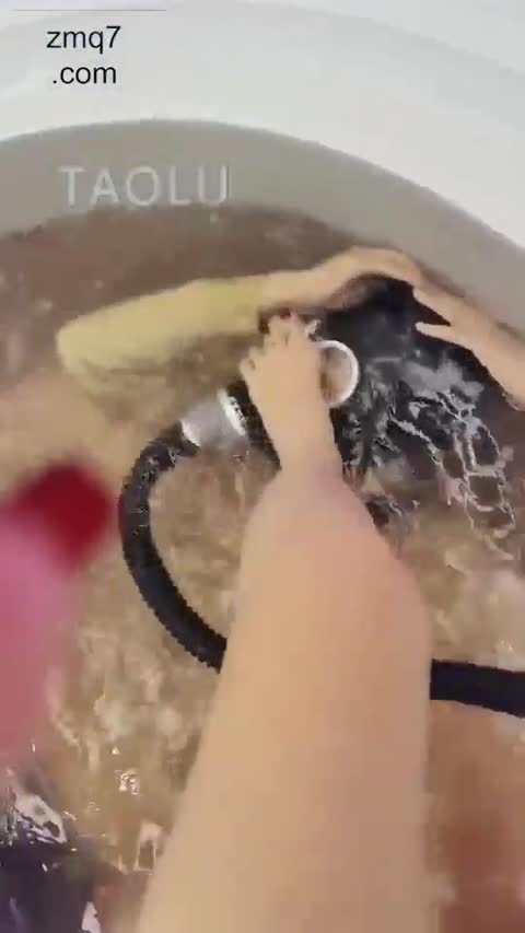 药神 老同学狗伺候洗澡澡-女神之家