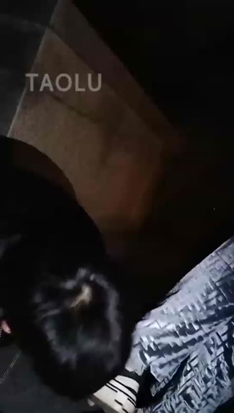 刘二狗 疯狂户外 两位大三素人小姐姐第一次很放不开 磕头 舔脏鞋底-女神之家