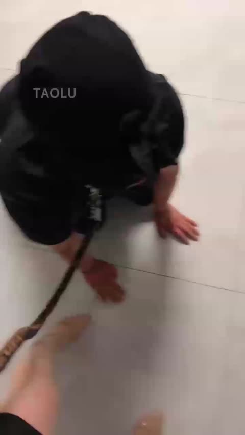 莉莉丝 楼道里调教狗奴-女神之家