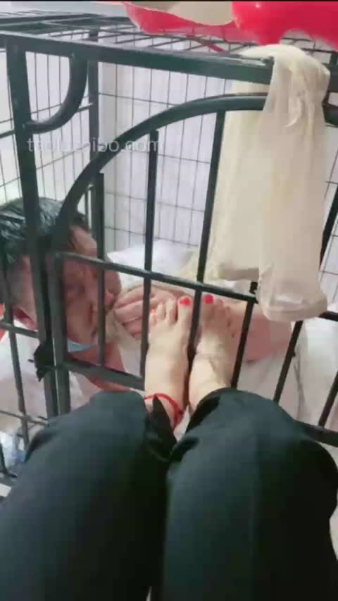 广州蓝汐 调教狗笼里的贱货-女神之家
