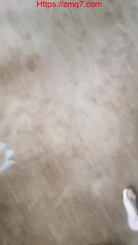 1713460428260_168-女神之家